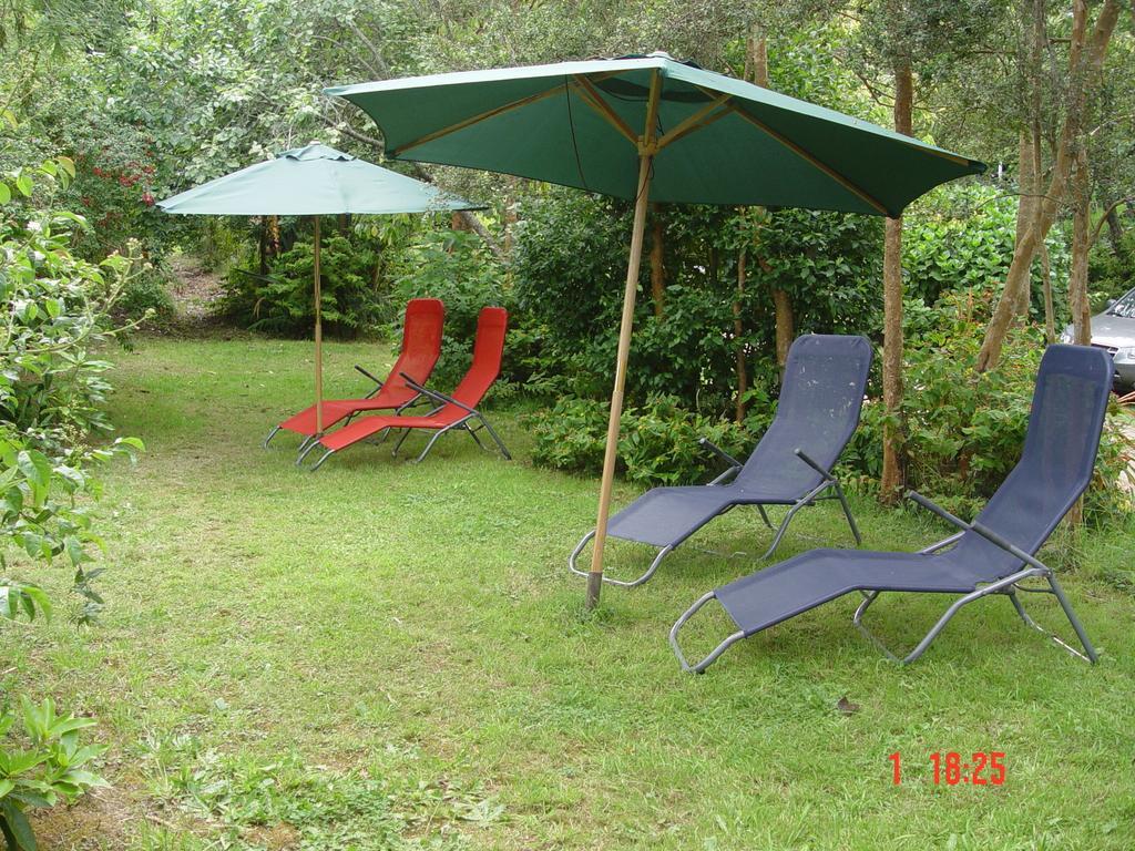 Cabanas El Bosque Patagonico Фрутильяр Номер фото