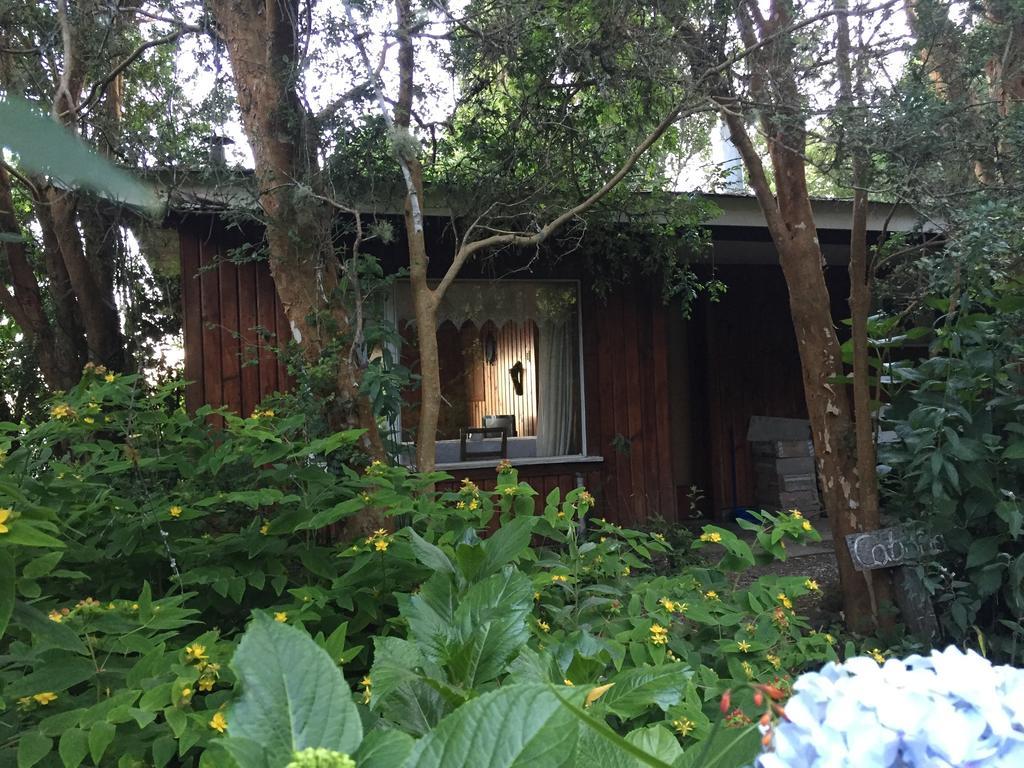 Cabanas El Bosque Patagonico Фрутильяр Екстер'єр фото